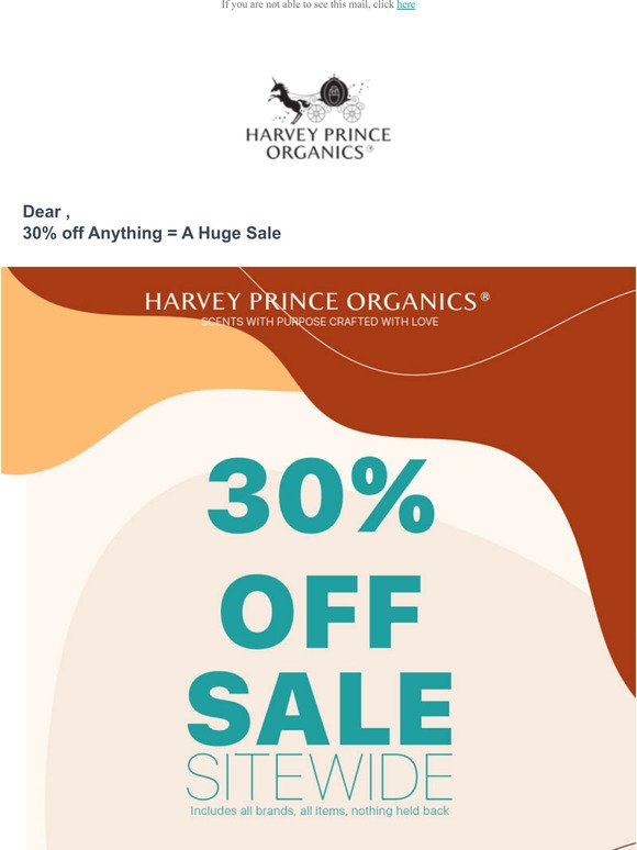 30% off Anything = A Huge Sale