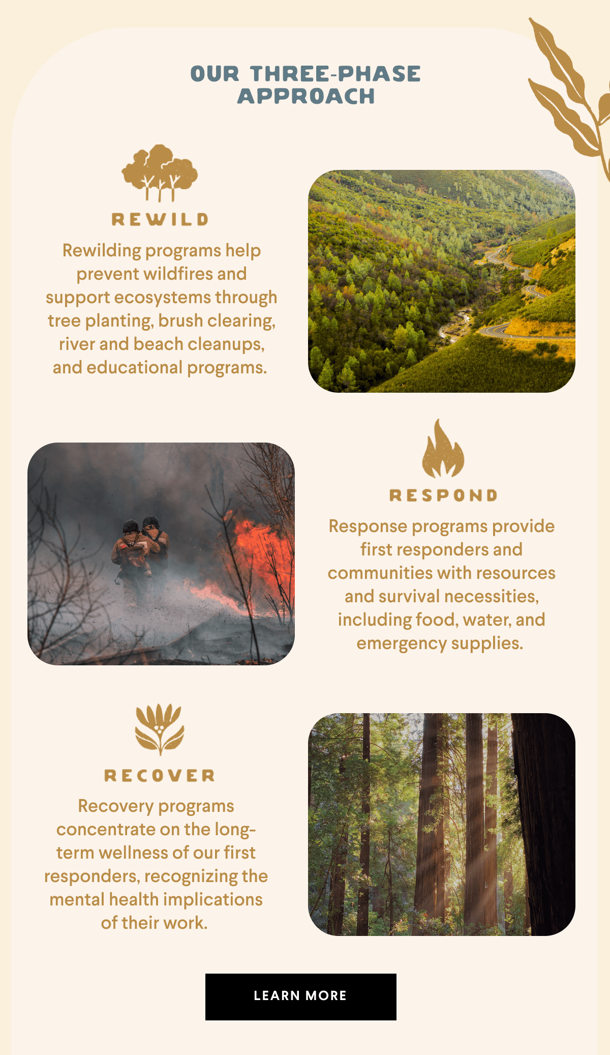Our three phase approach. Rewind. Respond. Recover. 