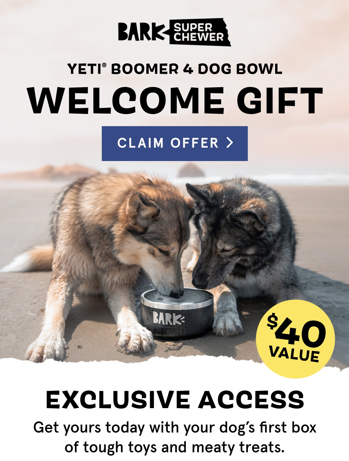 Barkbox is offering a free Yeti dog bowl with sign up for a