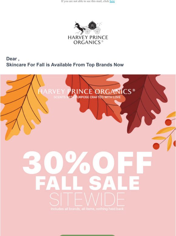 Skincare For Fall is Available From Top Brands Now