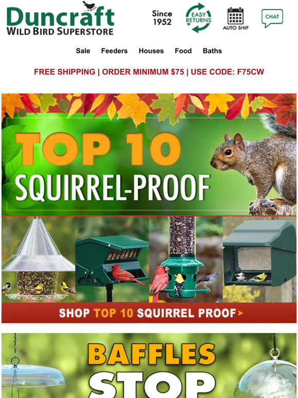 Duncraft Wild Bird Superstore Introducing Our Top 10 Squirrel Proof