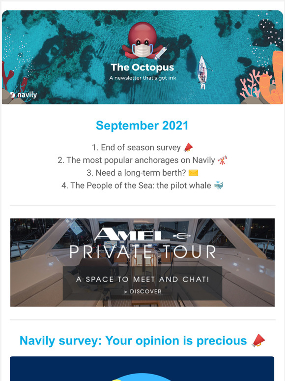  The Octopus | End of season survey & giveaways | Top anchorages in the Mediterranean Sea