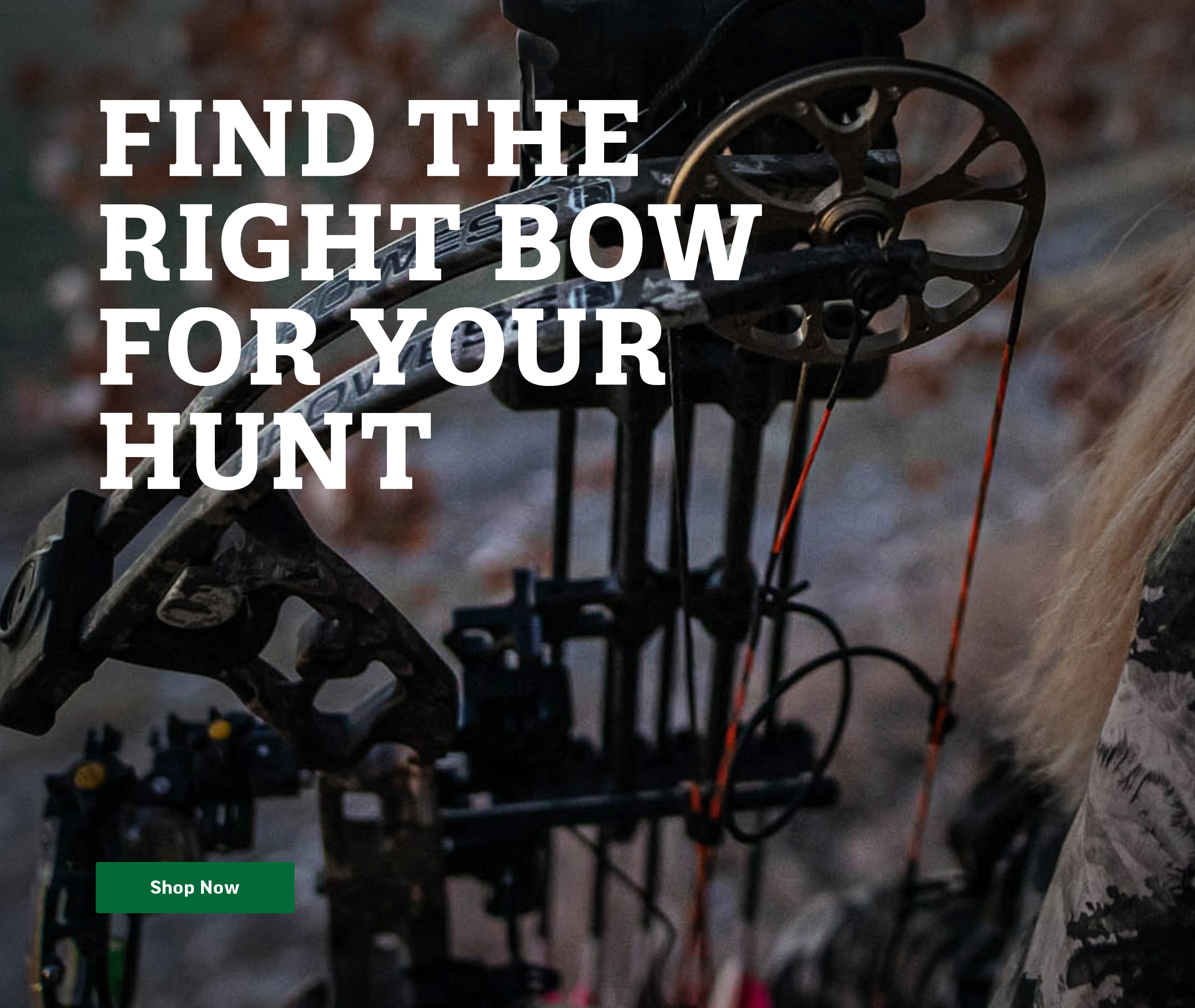 Sportsman's Warehouse Compound bows & Crossbows The choice is yours