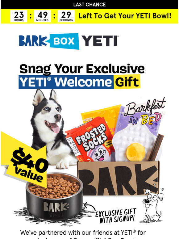 How to get a free Yeti dog bowl with BarkBox 