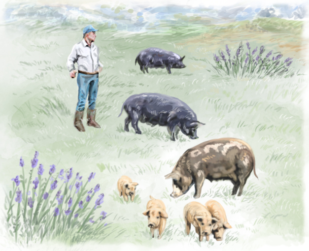 Larder Meat Co. Healthy eating made easy Milled