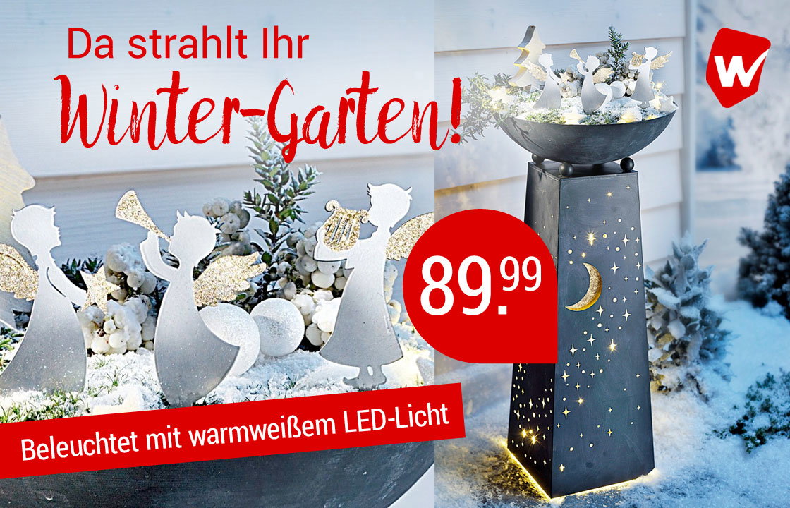 Weltbild: Weihnachtsdeko zum Verlieben!