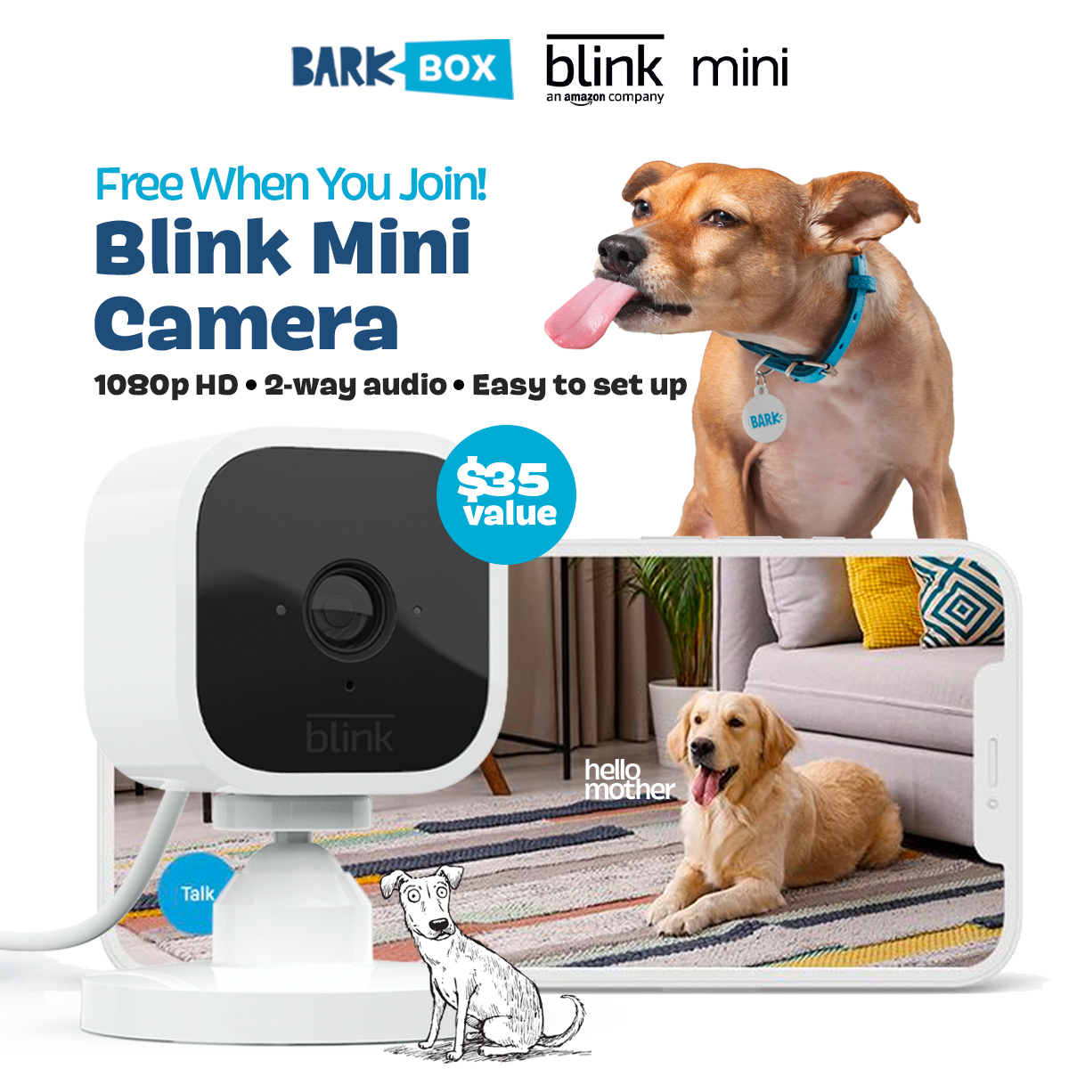 free dog cam