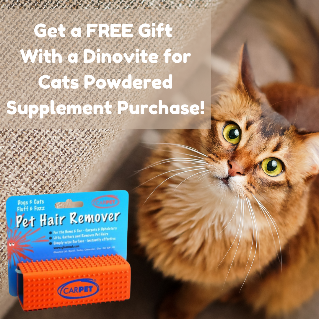 is dinovite really good for dogs