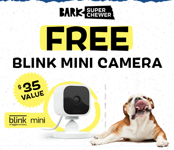 bark box mini camera