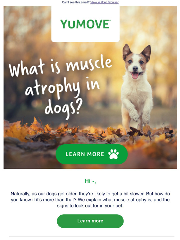 yumove-what-is-muscle-atrophy-in-dogs-milled