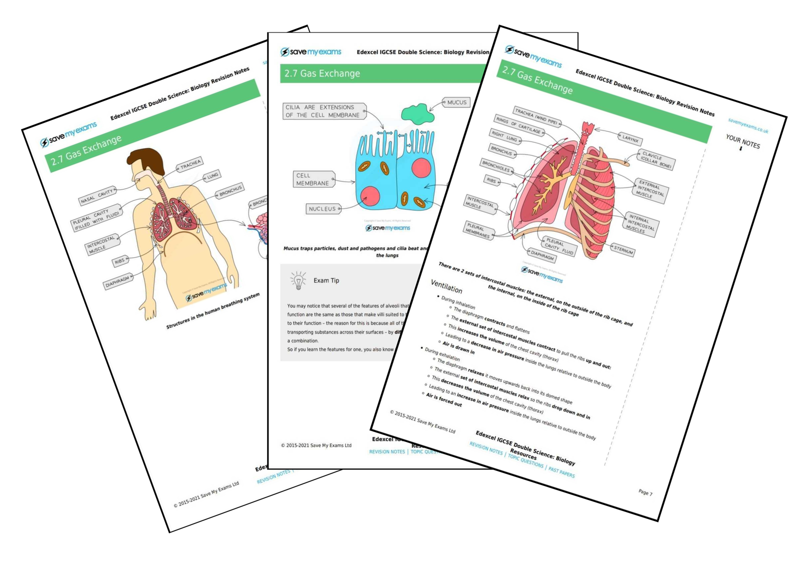 Save My Exams: NEW! GCSE and IGCSE Science Revision Materials | Milled