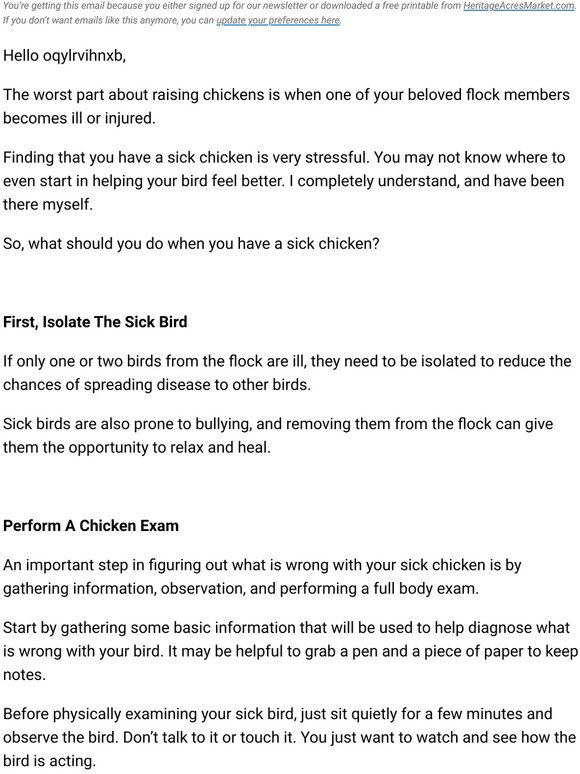 What to do when you have a sick chicken