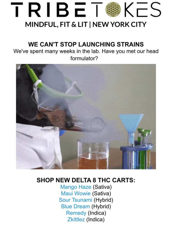 TribeTokes LLC 6 NEW Delta 8 Cart Strains! Milled