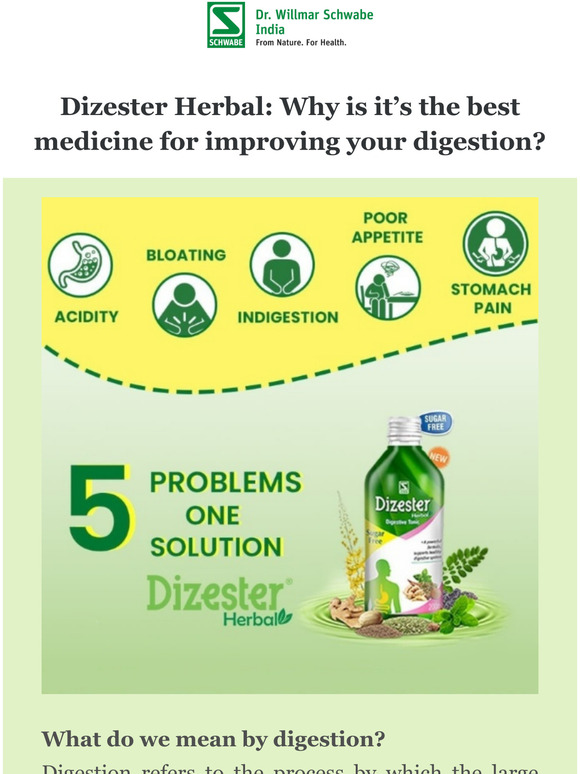 Dizester Herbal: Why its best medicine for improving your digestion?
