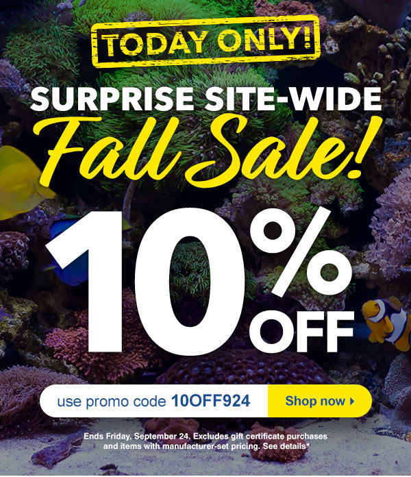 Today Only! Surprise SiteWide Savings with Code Milled