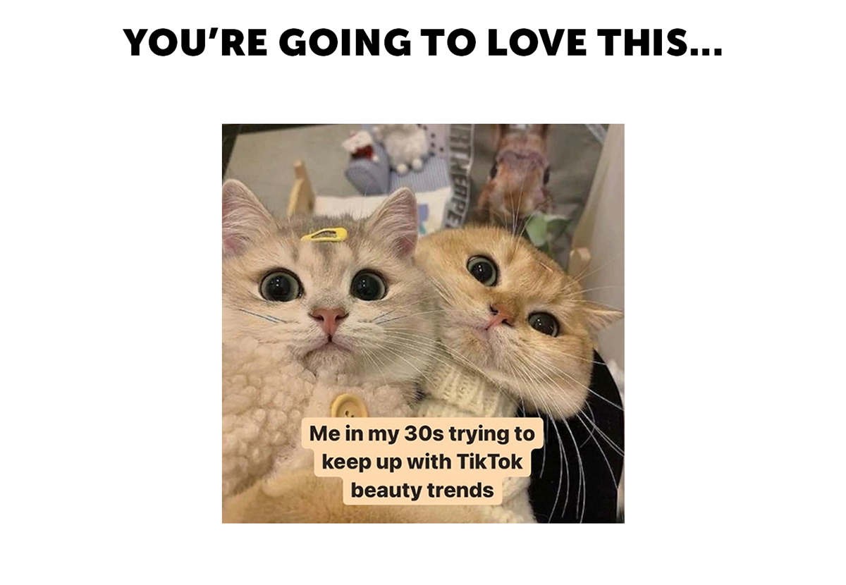 You're going to love this...