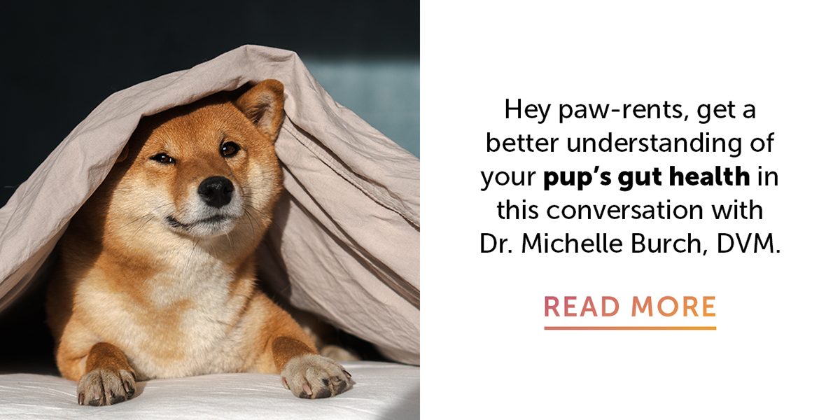 pup's gut health
