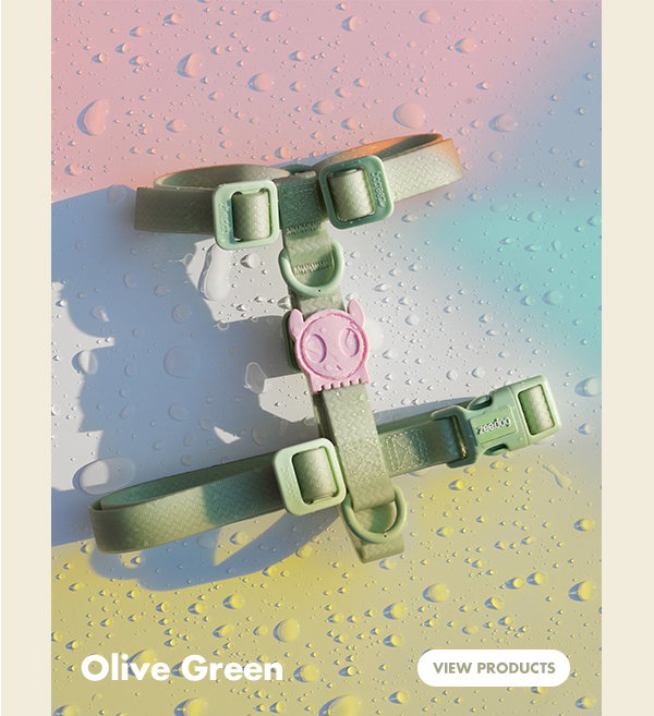 Olive Green