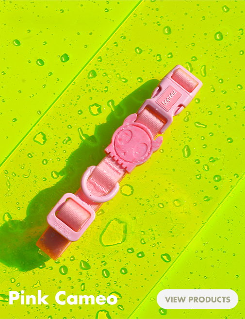 Pink Cameo