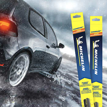 Michelin® Guardian™ Wiper Blades