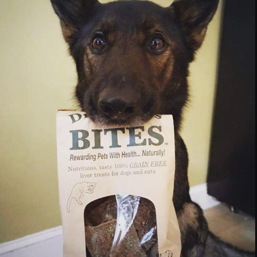 Forever Dog Bites pic