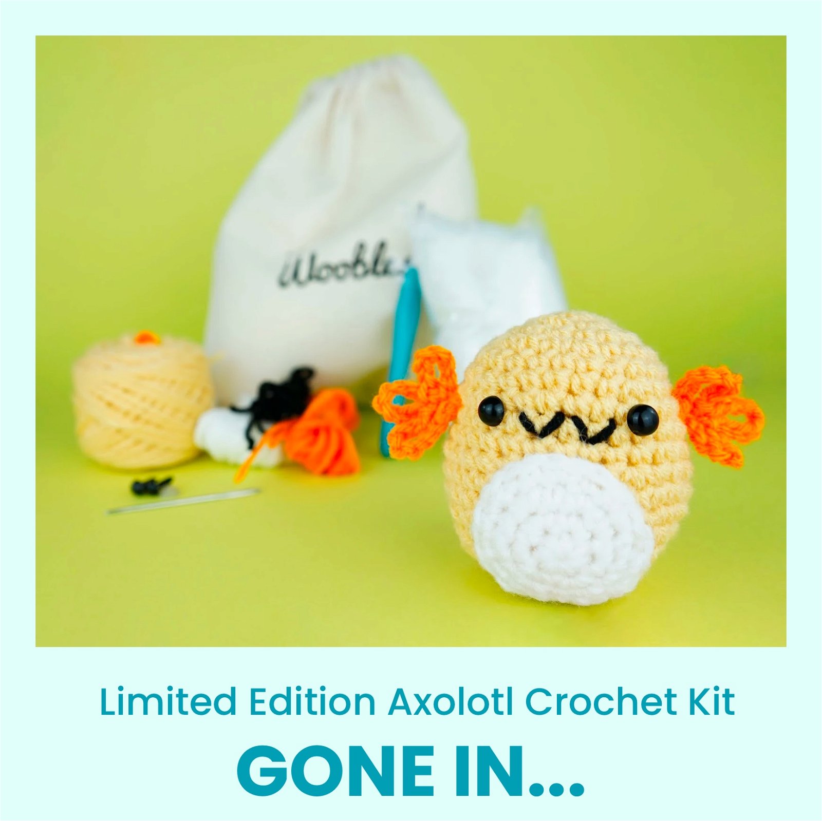 Axolotl Crochet Kit