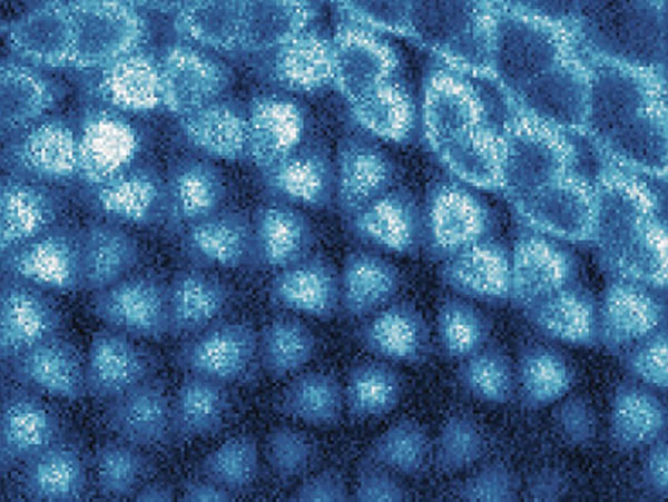 Raw image for the generalized Wigner crystal states.