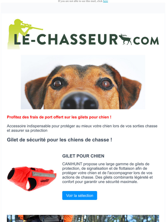 Remises exceptionnelles : Gilet pour chien