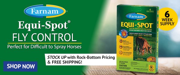 Farnam® Equi-Spot® Fly Control / 6 week supply / Perfect for Difficult to Spray Horses