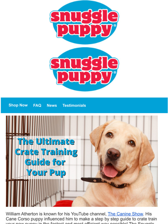 cane corso crate training