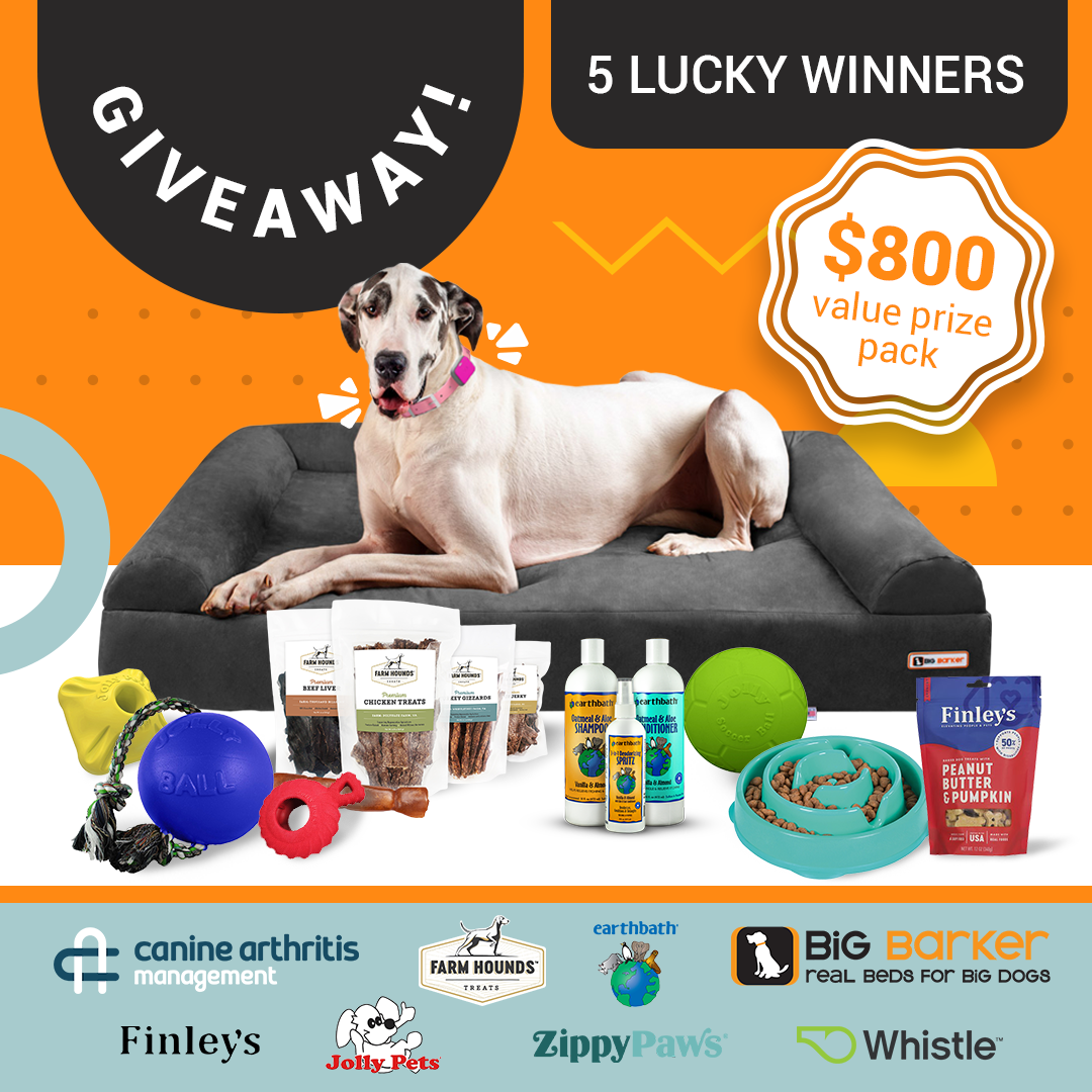 big barker black friday