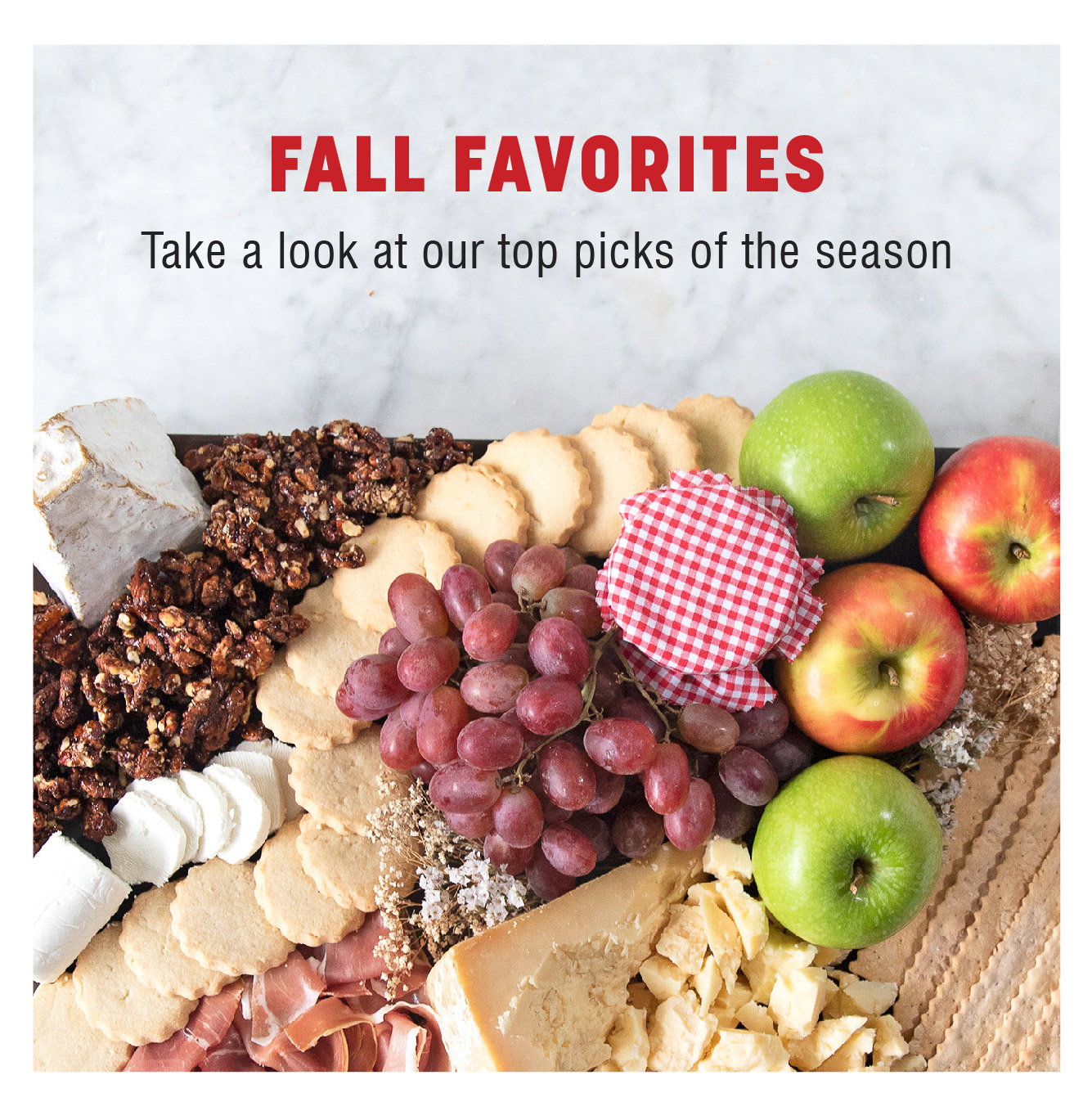 Fall Favorites