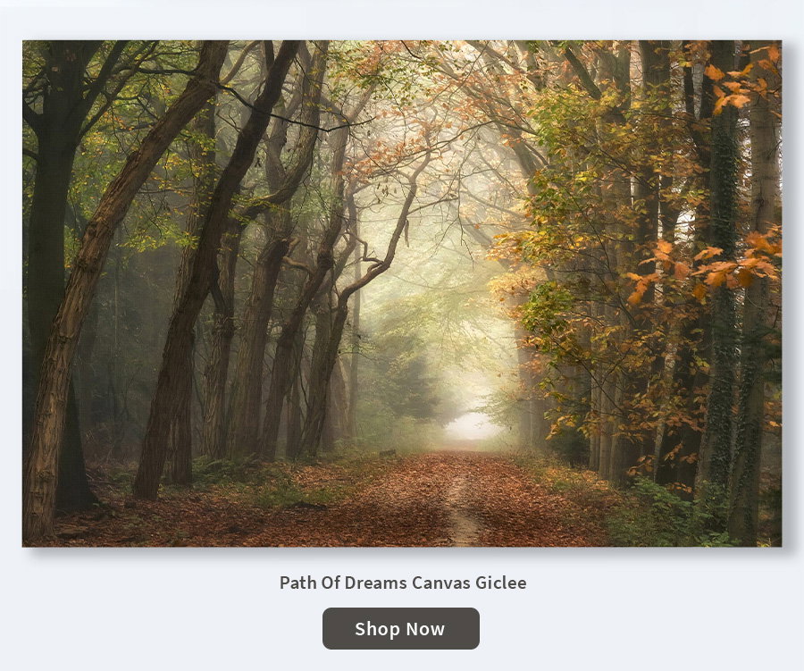 Path Of Dreams Canvas Giclee 