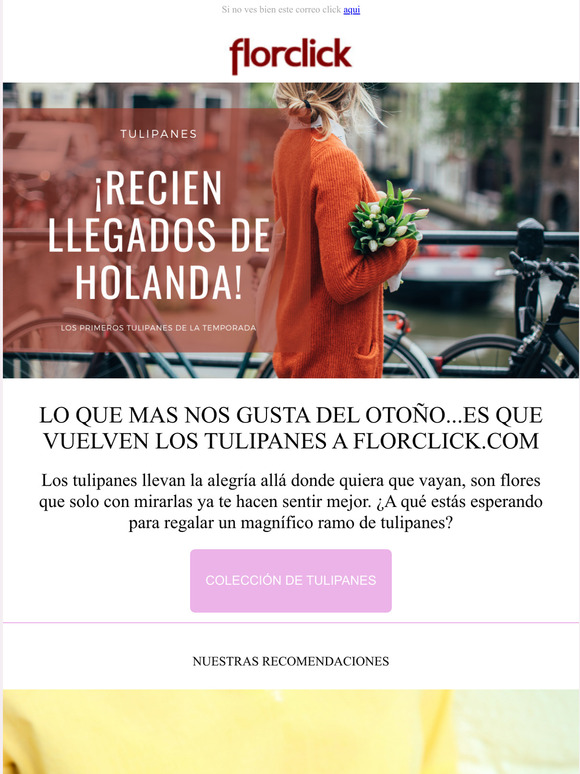 Florclick: Regalar rosas rojas es un toque de distincin | Milled