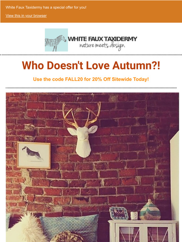 Fall is Here, Check Out Our Autumn Favorites!