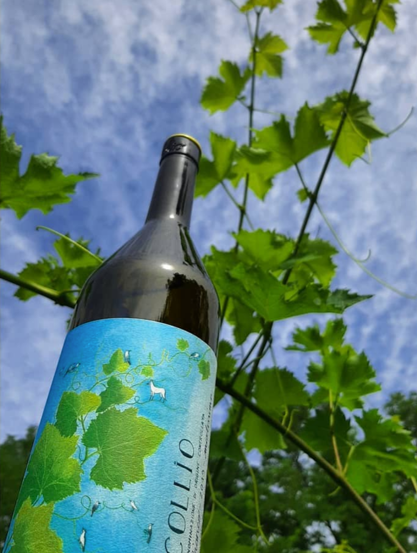 Martissia Collio Rosso