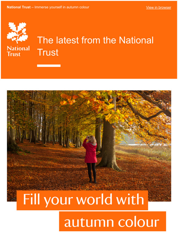Immerse yourself in autumn colour