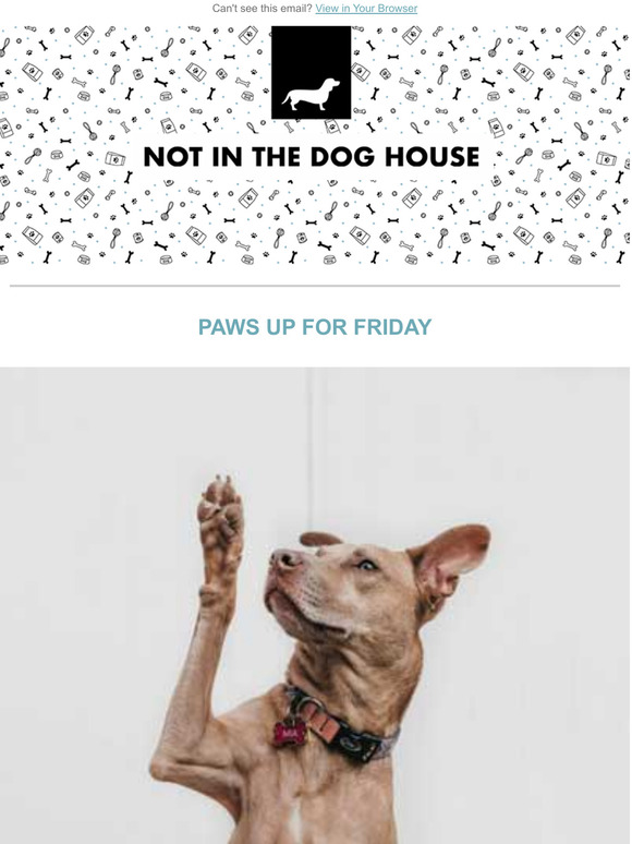   Paws Up For Friday 
