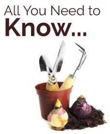 Did you know?