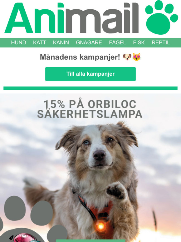 Upp till 25% rabatt till ditt husdjur 
