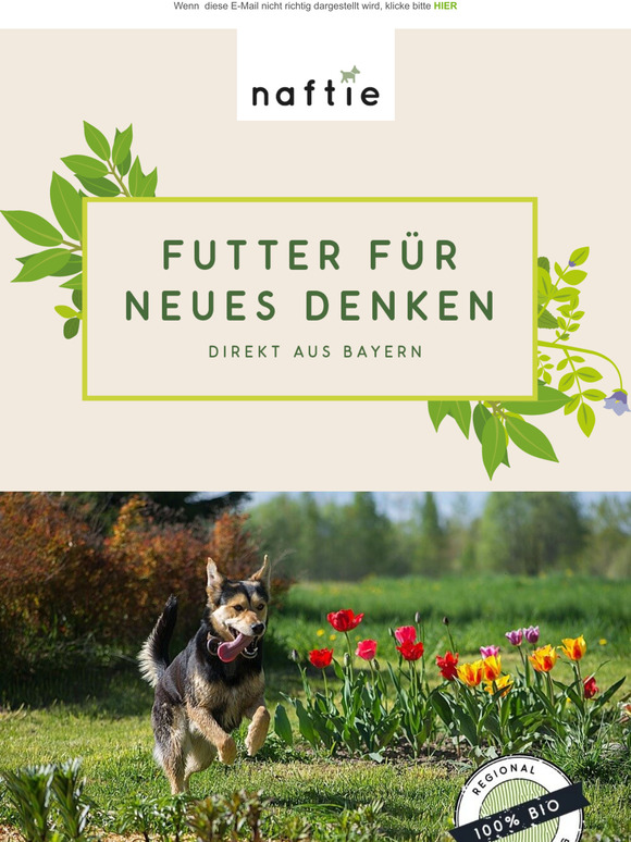 Happy Welthundetag!