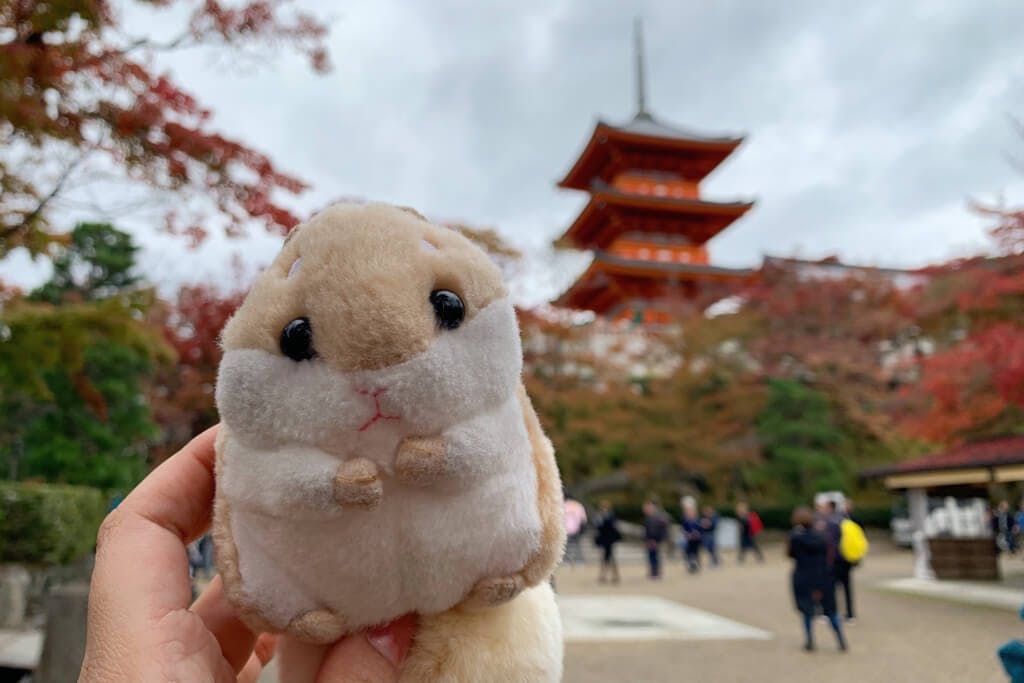 chinese hamster bread