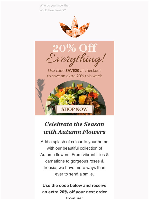 Extra 20% Off Everything! + Free Standard Delivery