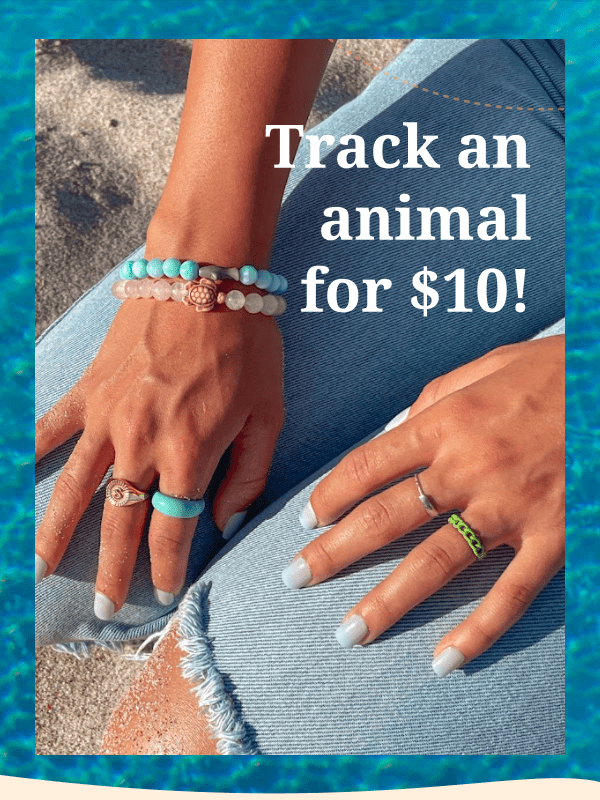 Track an animal for $10!