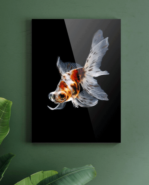 Art to Frames , Custom and Personalized framing Explore Our Art