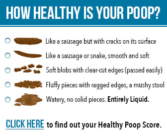 Paleorecipeteam: Your Poop 