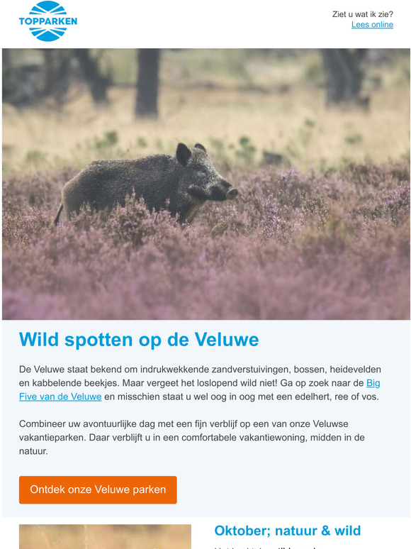  Kom wild spotten op de Veluwe!