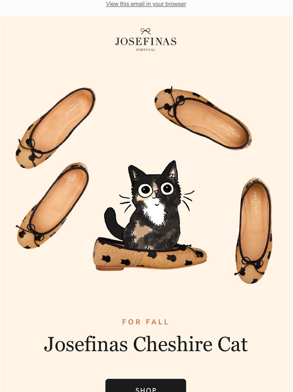  Purrrfect for Fall!