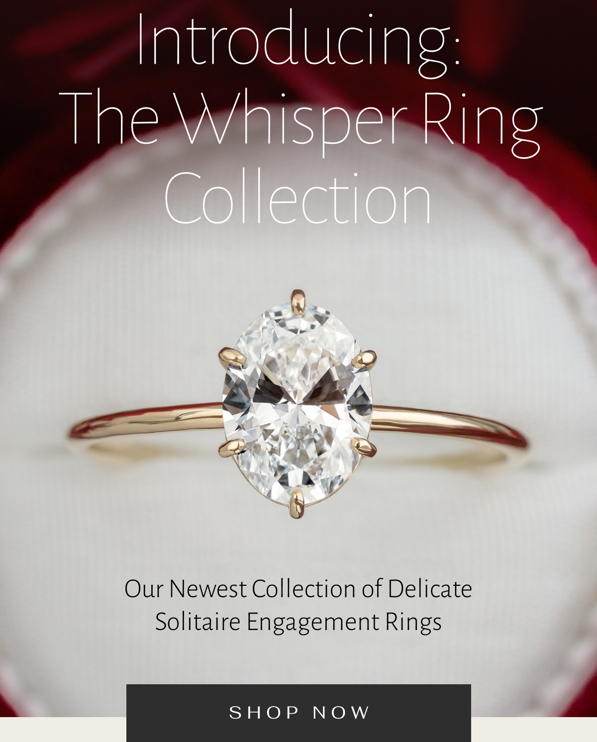 Whisper Ring, 1.5ct. Asscher Cut Diamond - Melanie Casey