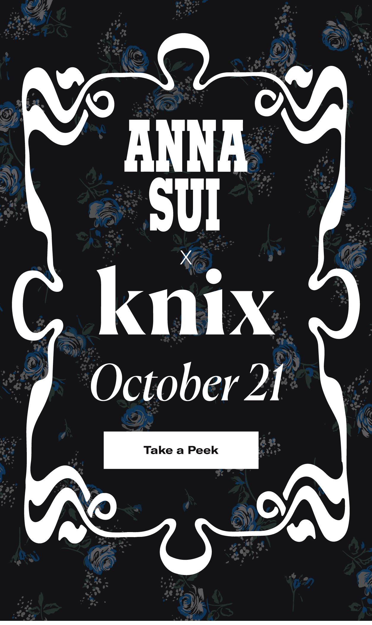 Canadian brand Knix partners with Anna Sui for stylish release